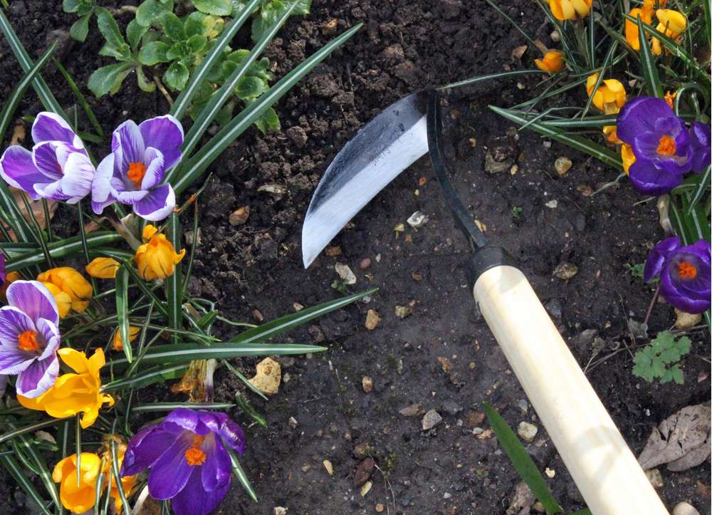 Burgon & Ball Ukrudtshakke